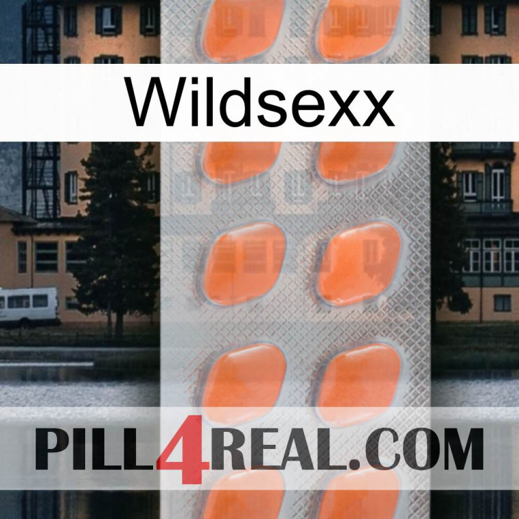 Wildsexx 26